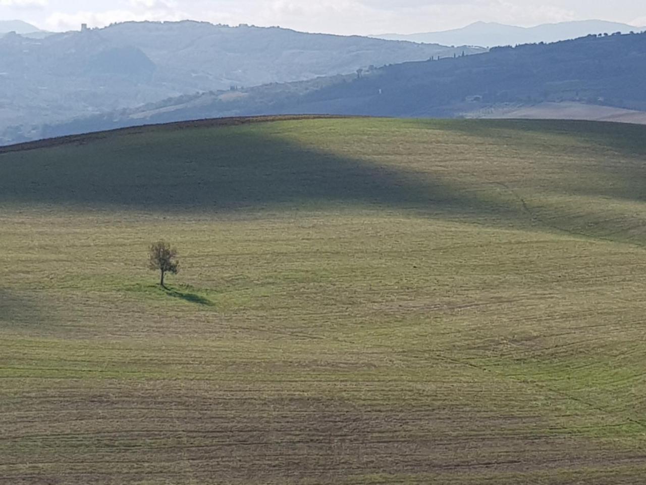 B&B Il Glicine Montefollonico Eksteriør billede