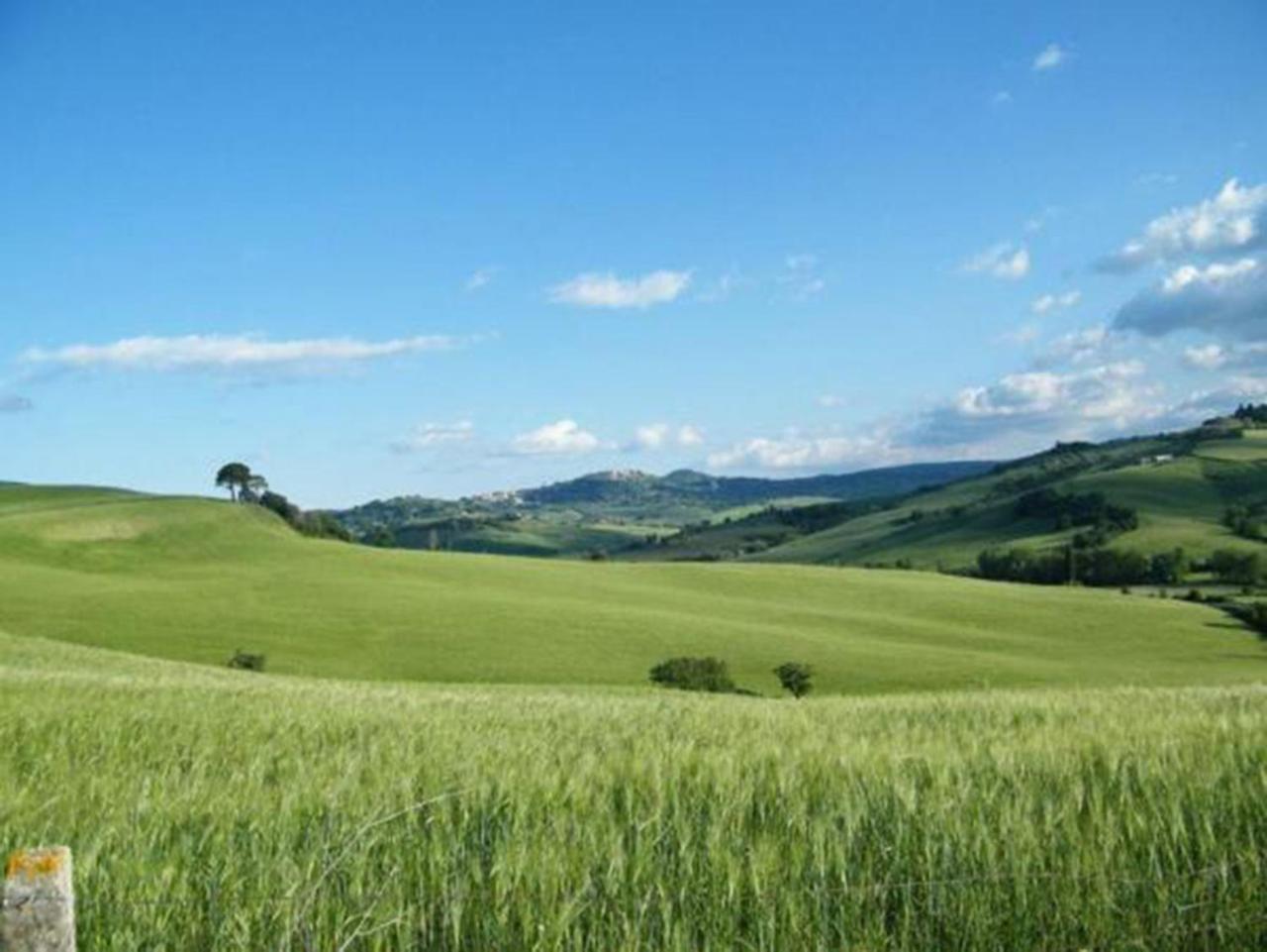 B&B Il Glicine Montefollonico Eksteriør billede