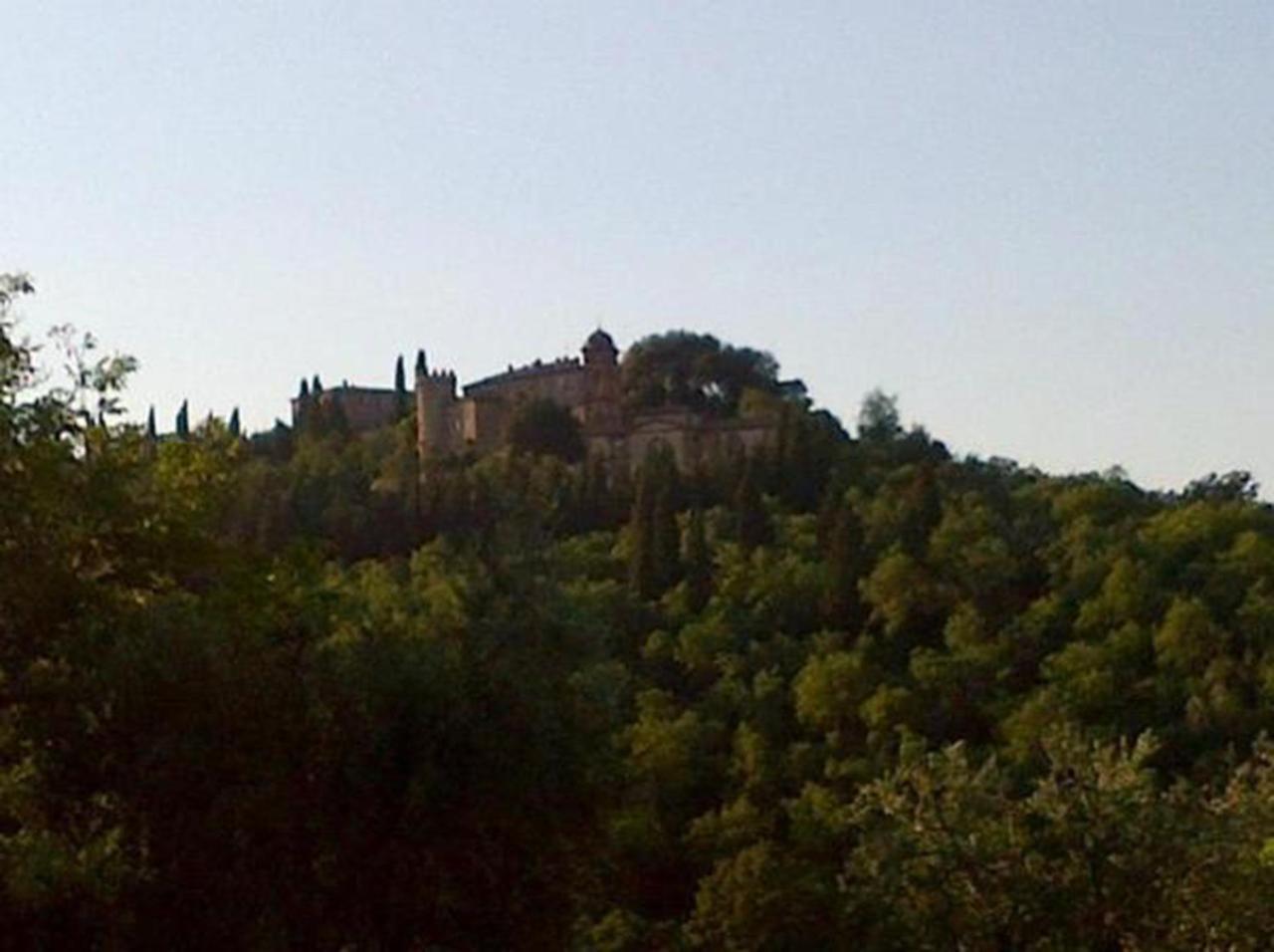 B&B Il Glicine Montefollonico Eksteriør billede