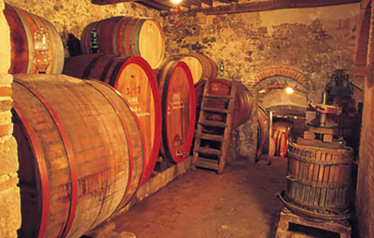 B&B Il Glicine Montefollonico Eksteriør billede
