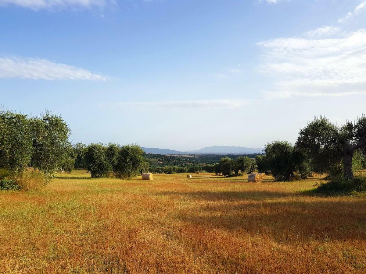 B&B Il Glicine Montefollonico Eksteriør billede